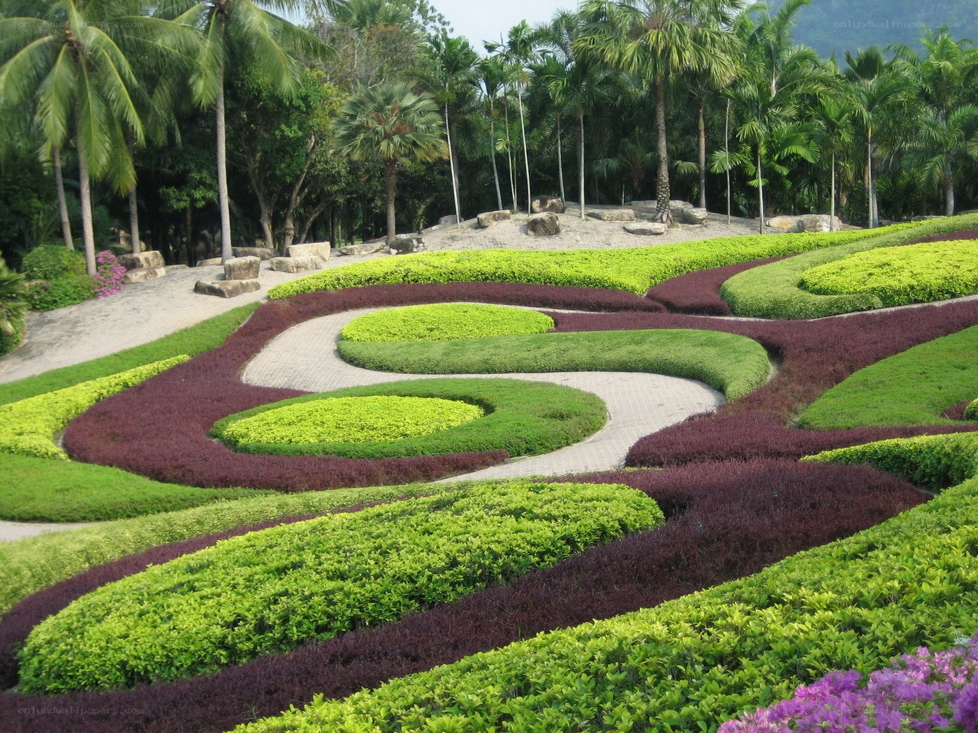 colorful garden with winding paths