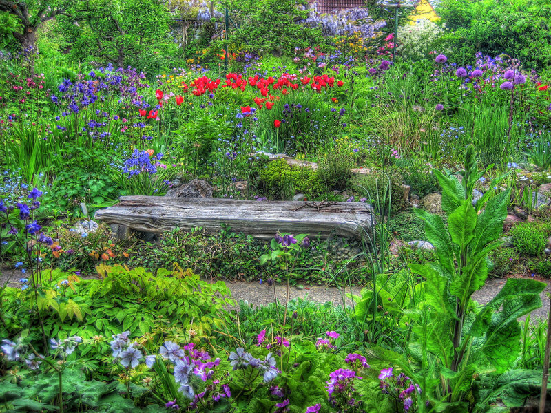 Colorful garden with wooden bench