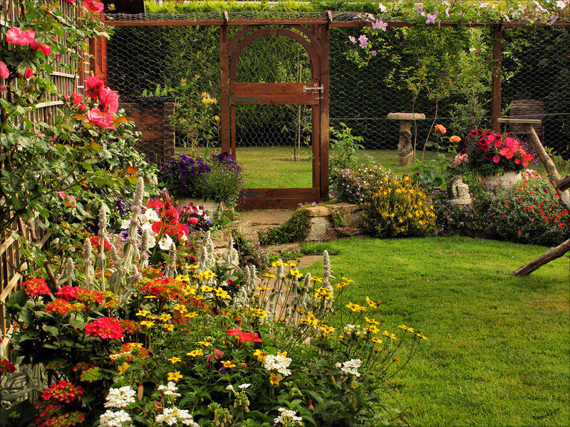 Colorful garden with wooden gate