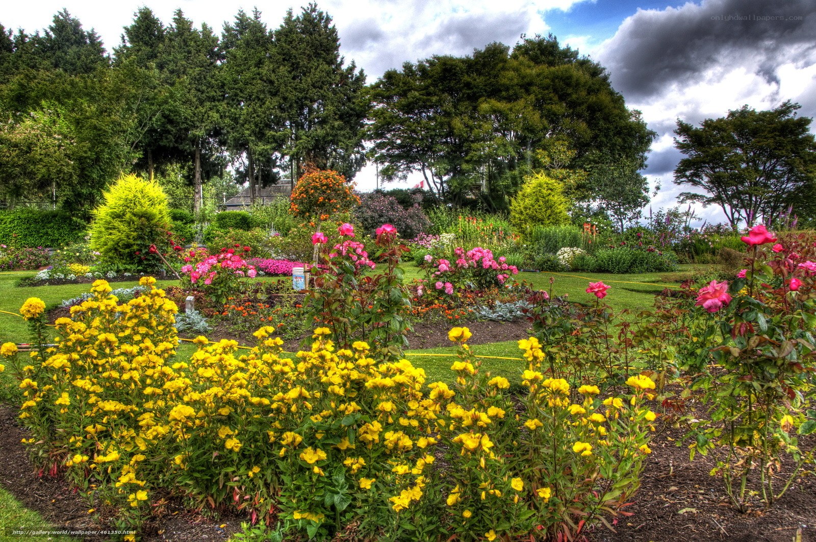 Colorful garden with yellow flowers