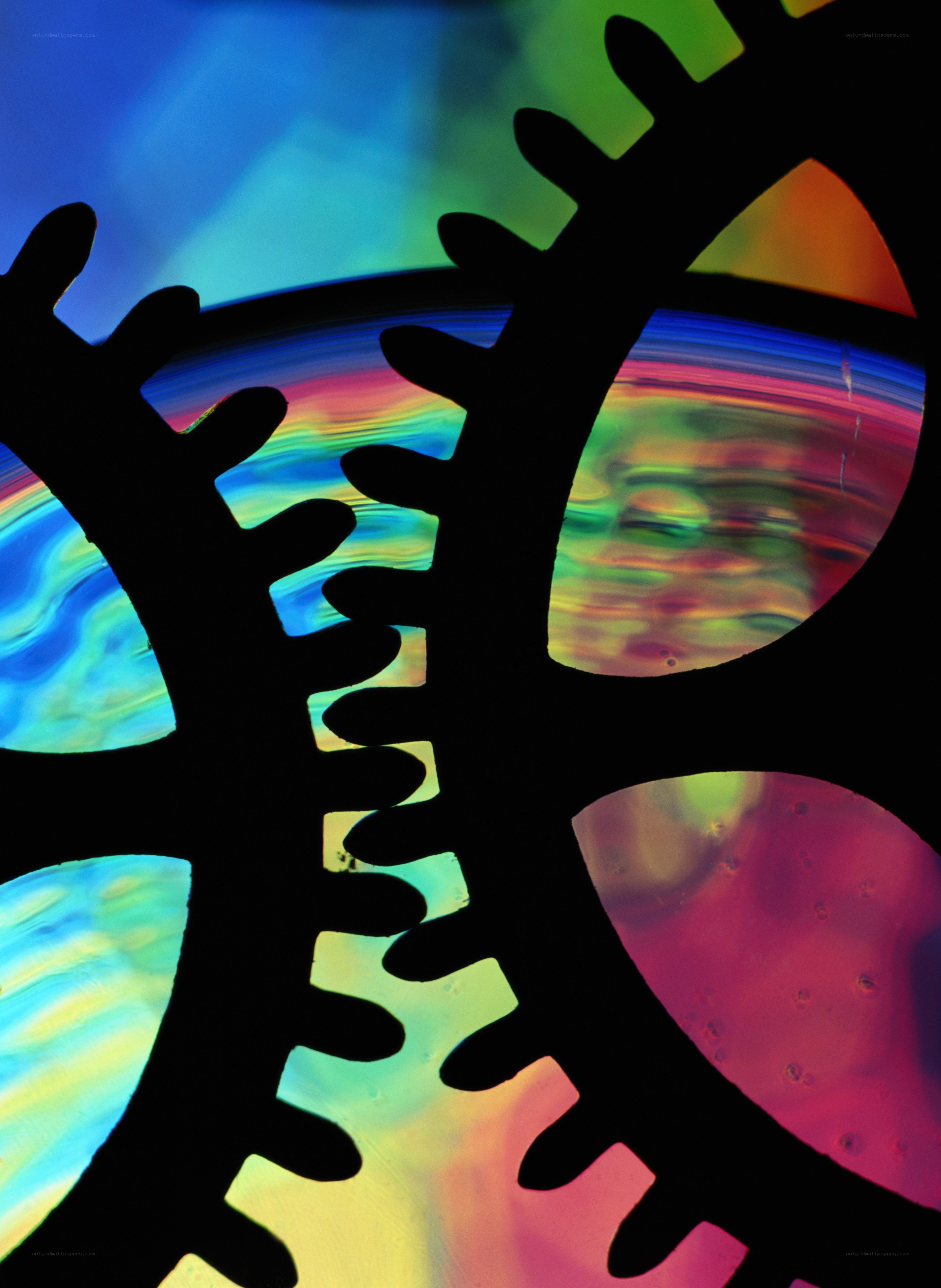 Colorful gear silhouette
