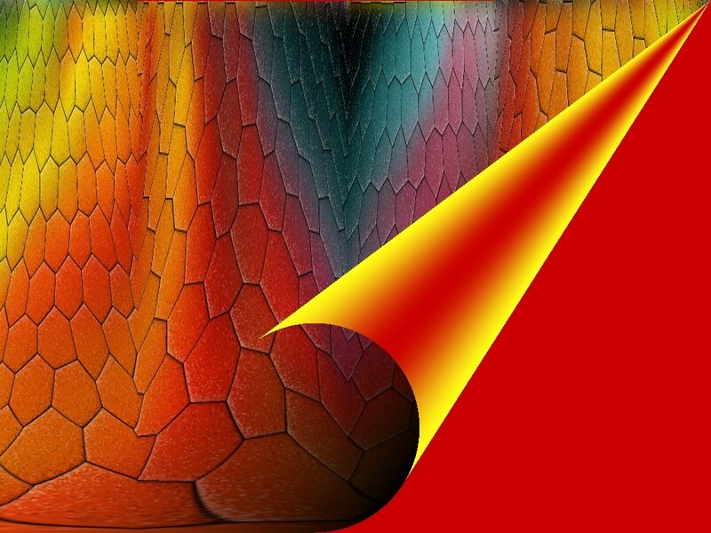 colorful geometric pattern