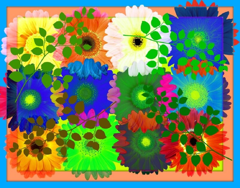 Colorful Gerbera Daisies — Blue