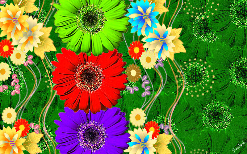 Colorful Gerbera Daisies — Green