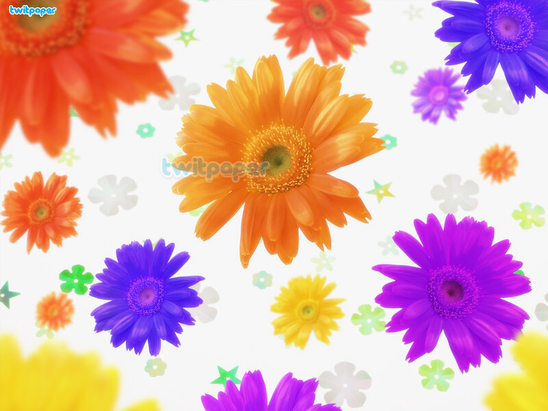 Colorful Gerbera Daisies — Orange, Cheerful, Digital Art, Stars