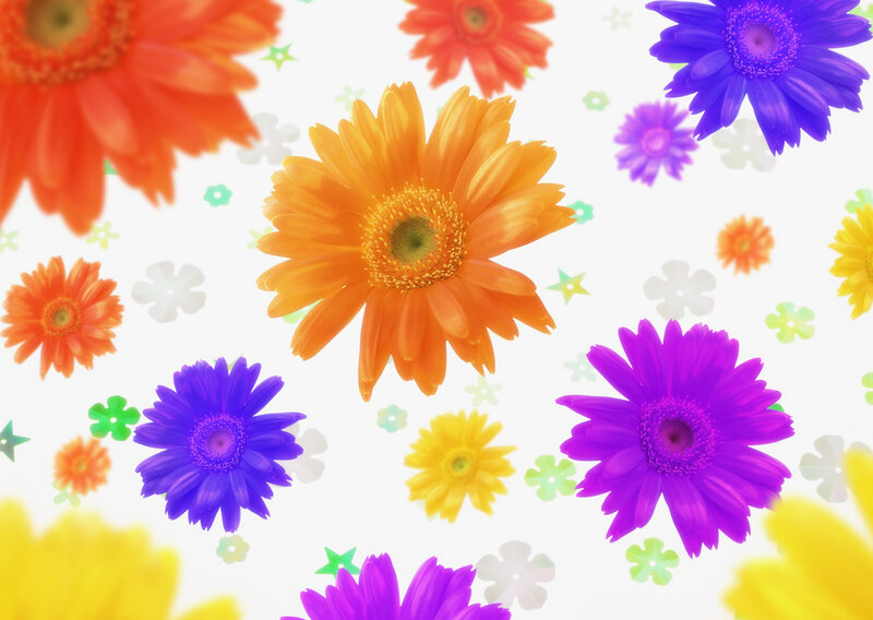 Colorful Gerbera Daisies — Orange, Cheerful, Digital Art