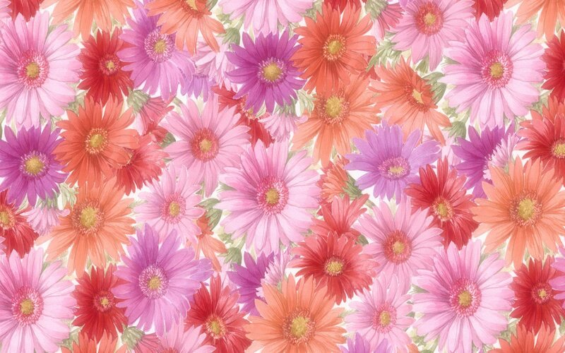 Colorful Gerbera Daisies — Pink, Cheerful
