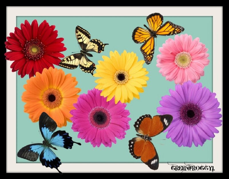 Colorful Gerbera Daisies — Red, Vibrant, Illustration