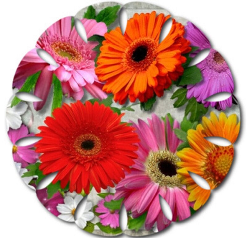 Colorful Gerbera Daisies — Red, Vibrant, Photograph, Flowers, Leaves