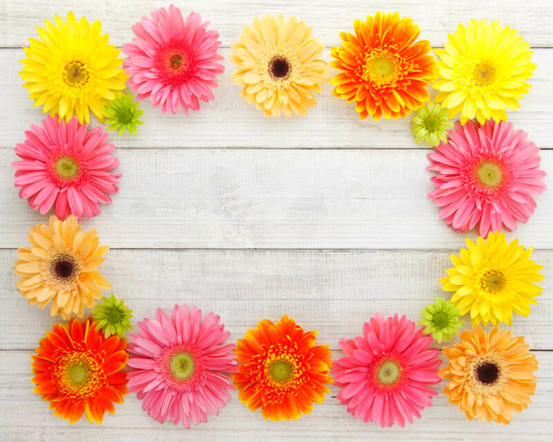 Colorful Gerbera Daisies — Yellow, Bright, Photograph, Flowers, Wooden Surface