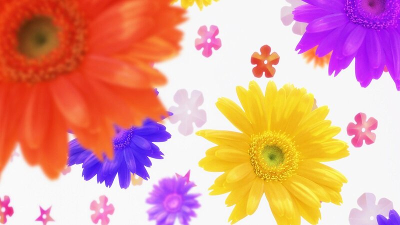 Colorful Gerbera Daisies — Yellow, Vibrant, Digital Art