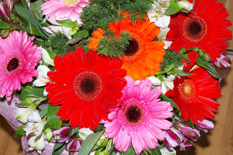 Colorful Gerbera Daisy Bouquet — Red