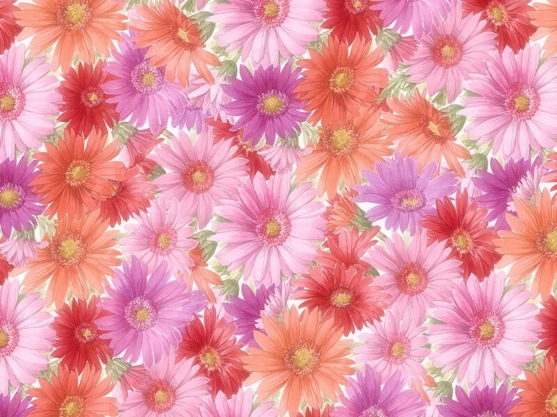colorful gerbera daisy pattern