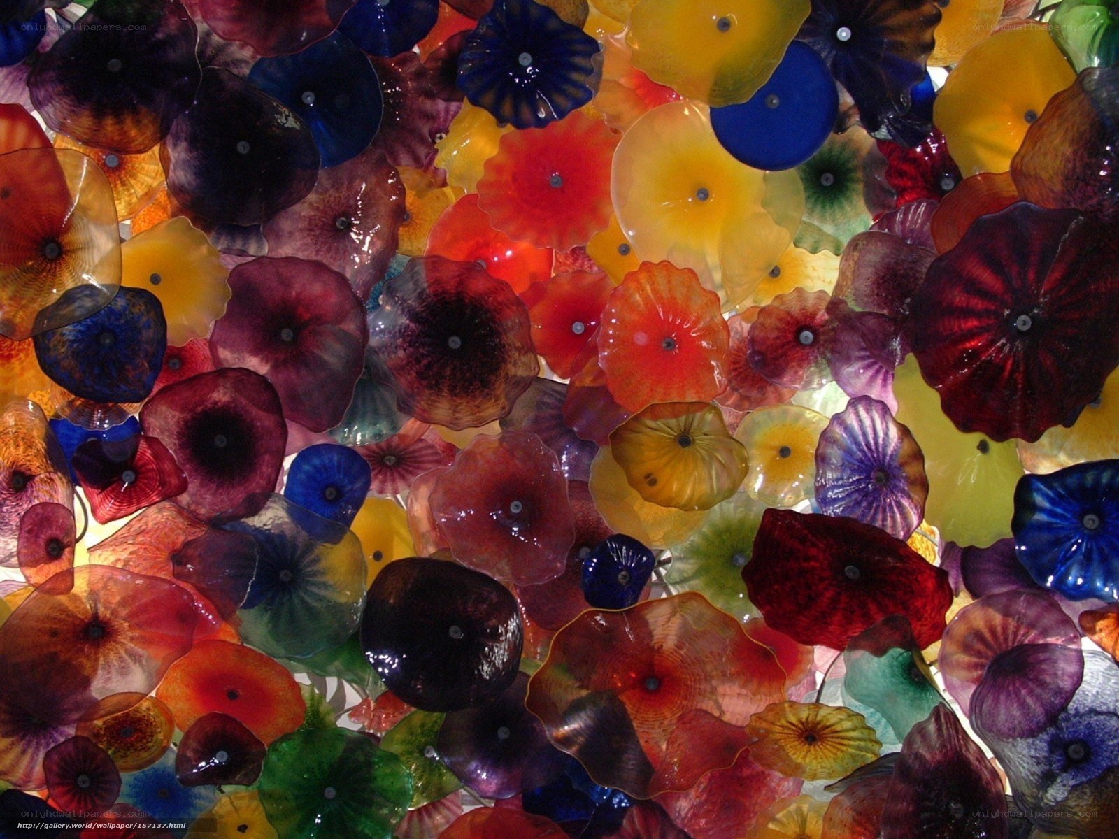 Colorful glass flower art installation