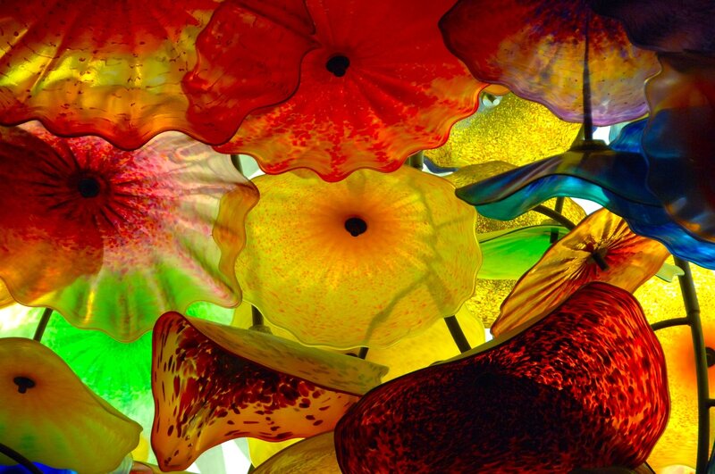 Colorful glass flower installation