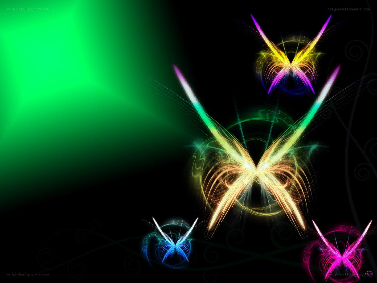 Colorful glowing butterflies