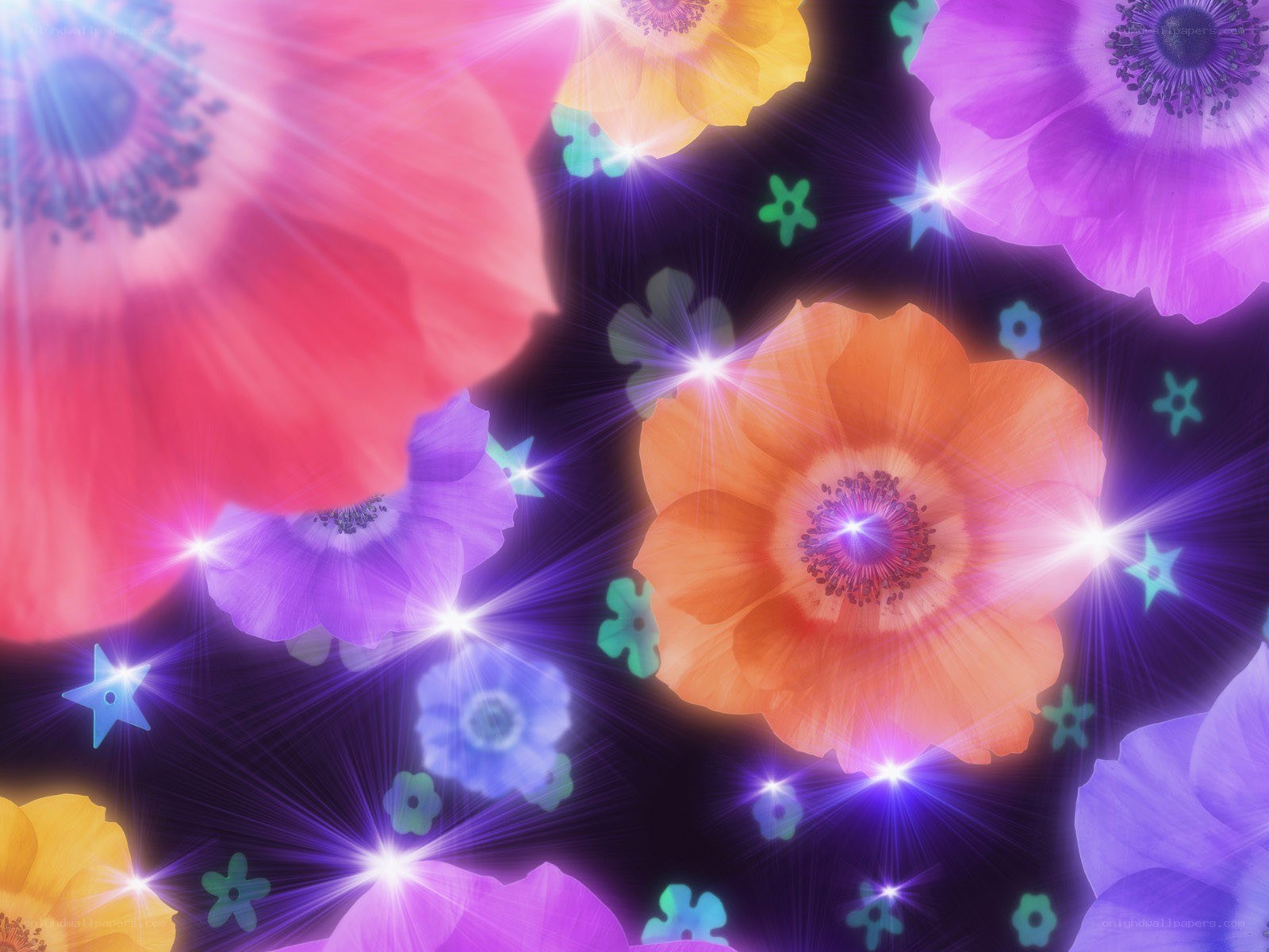 colorful glowing flowers