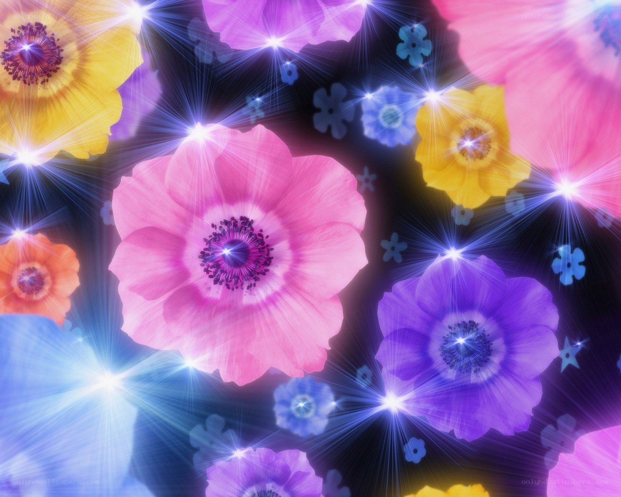 Colorful glowing flowers