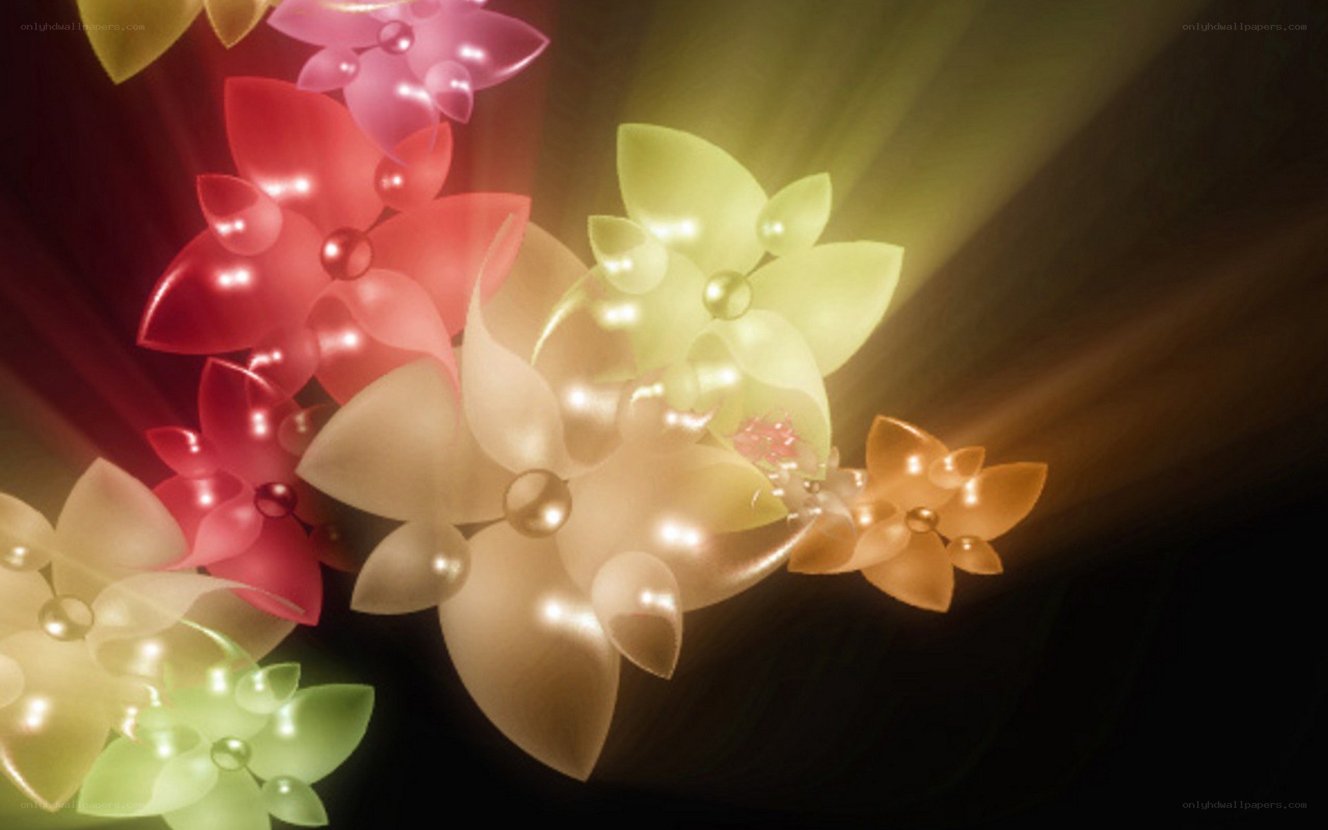 colorful glowing flowers