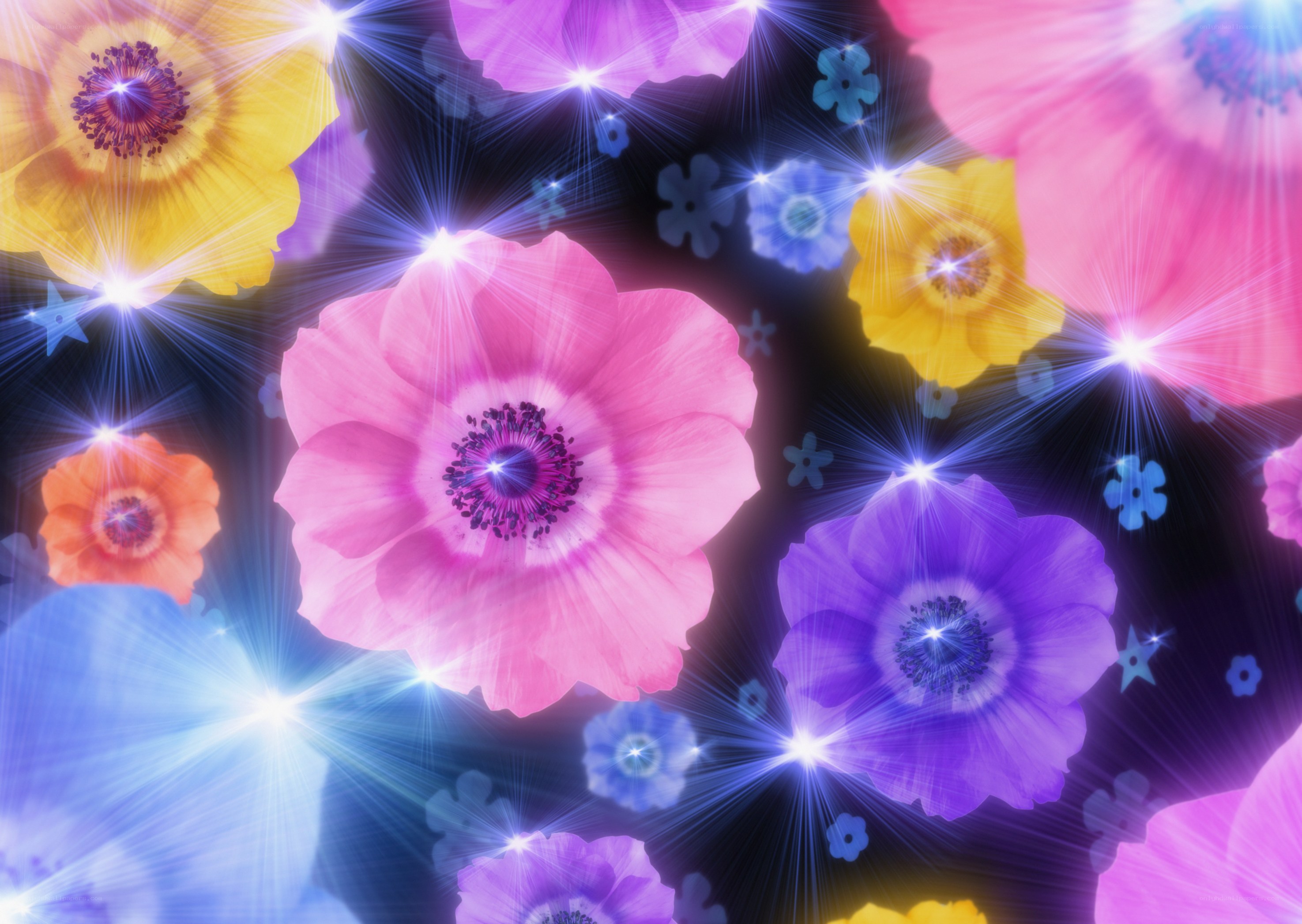 Colorful glowing flowers