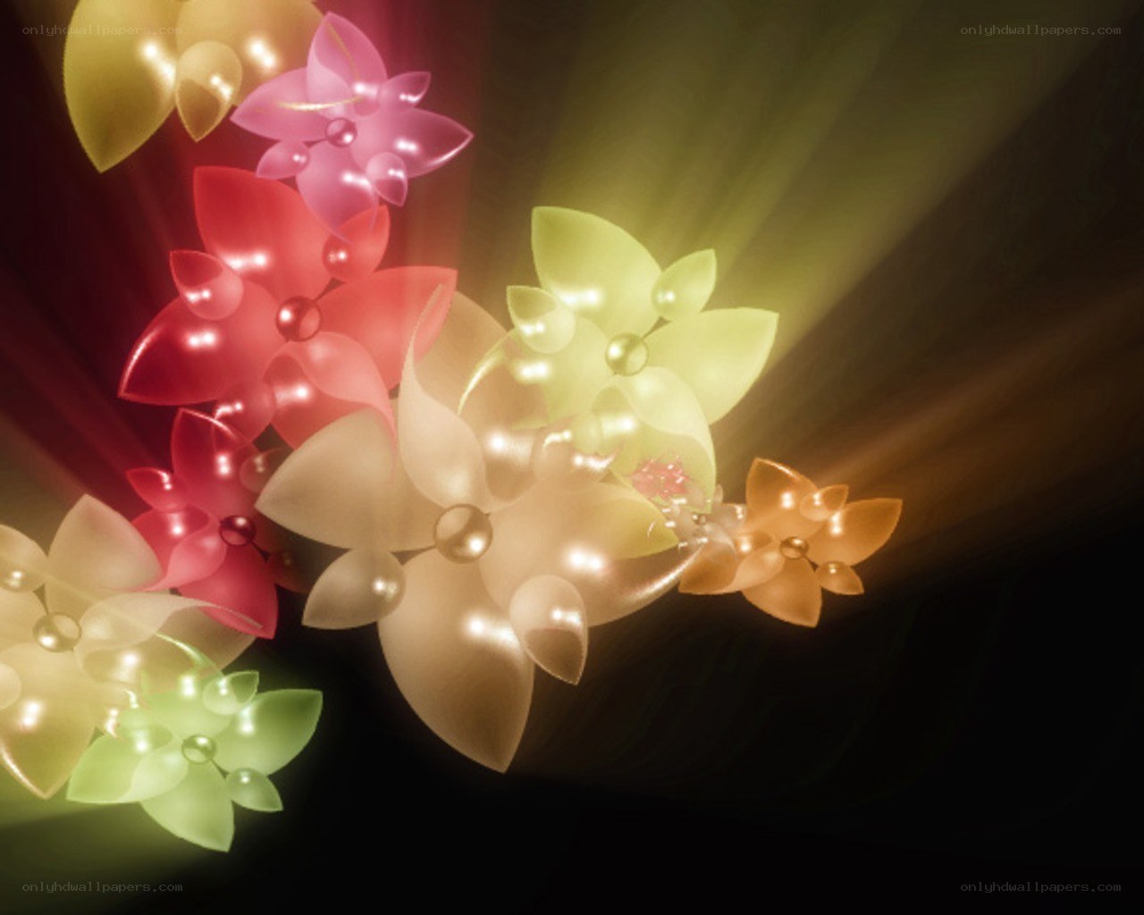 colorful glowing flowers