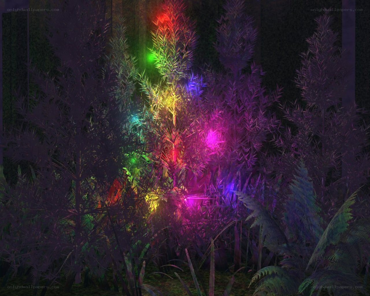 colorful glowing plants