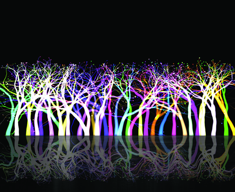 Colorful glowing trees