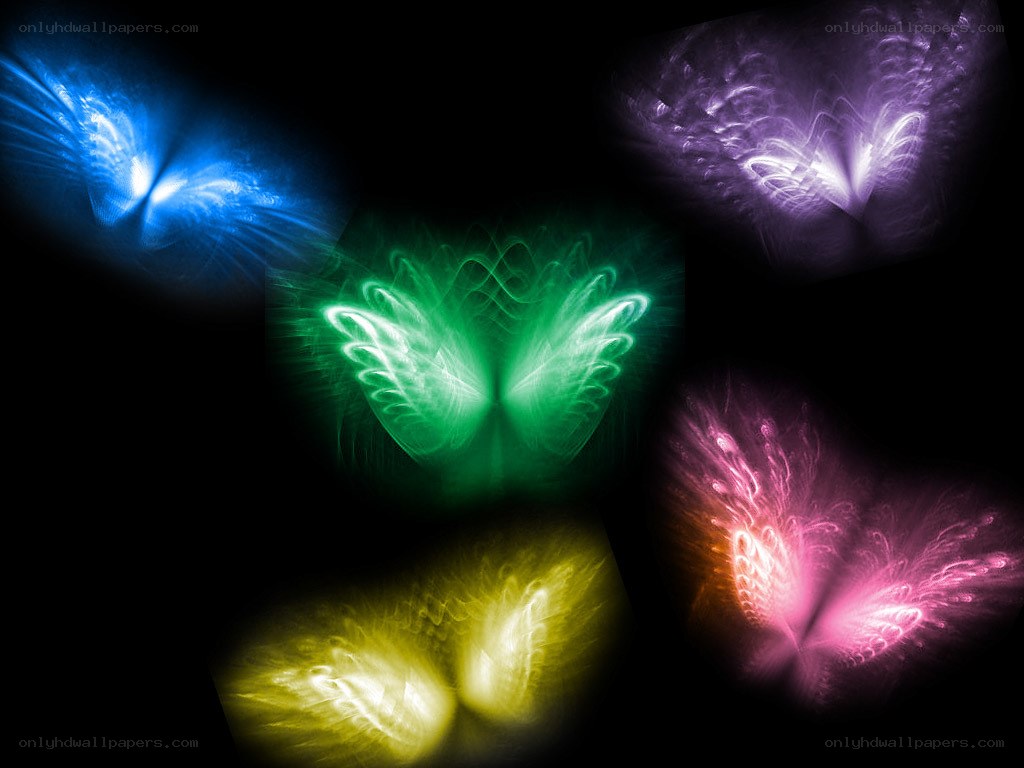 colorful glowing wings