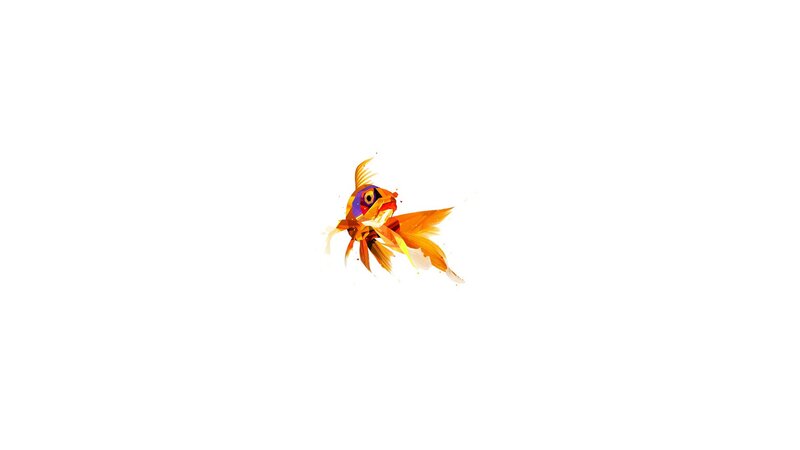 Colorful Goldfish