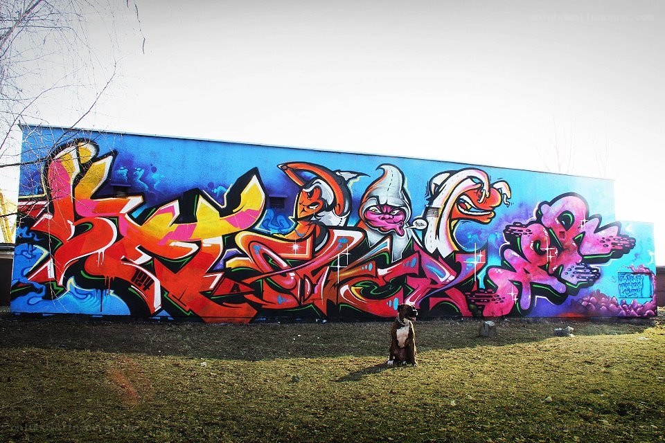 colorful graffiti mural with dog