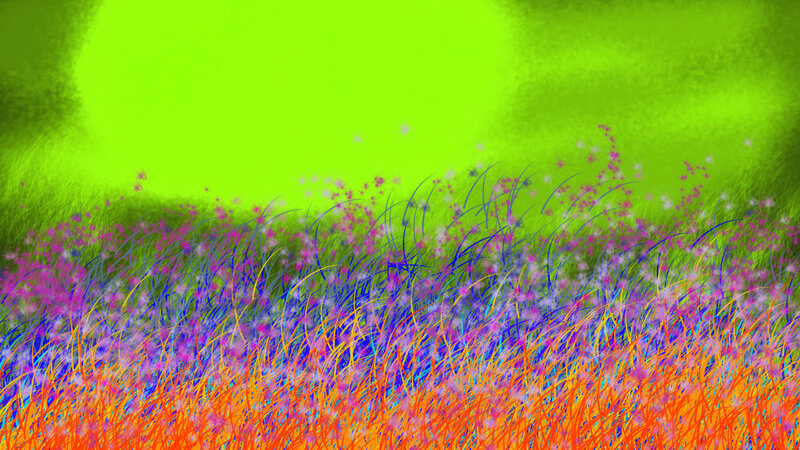 Colorful Grass Field