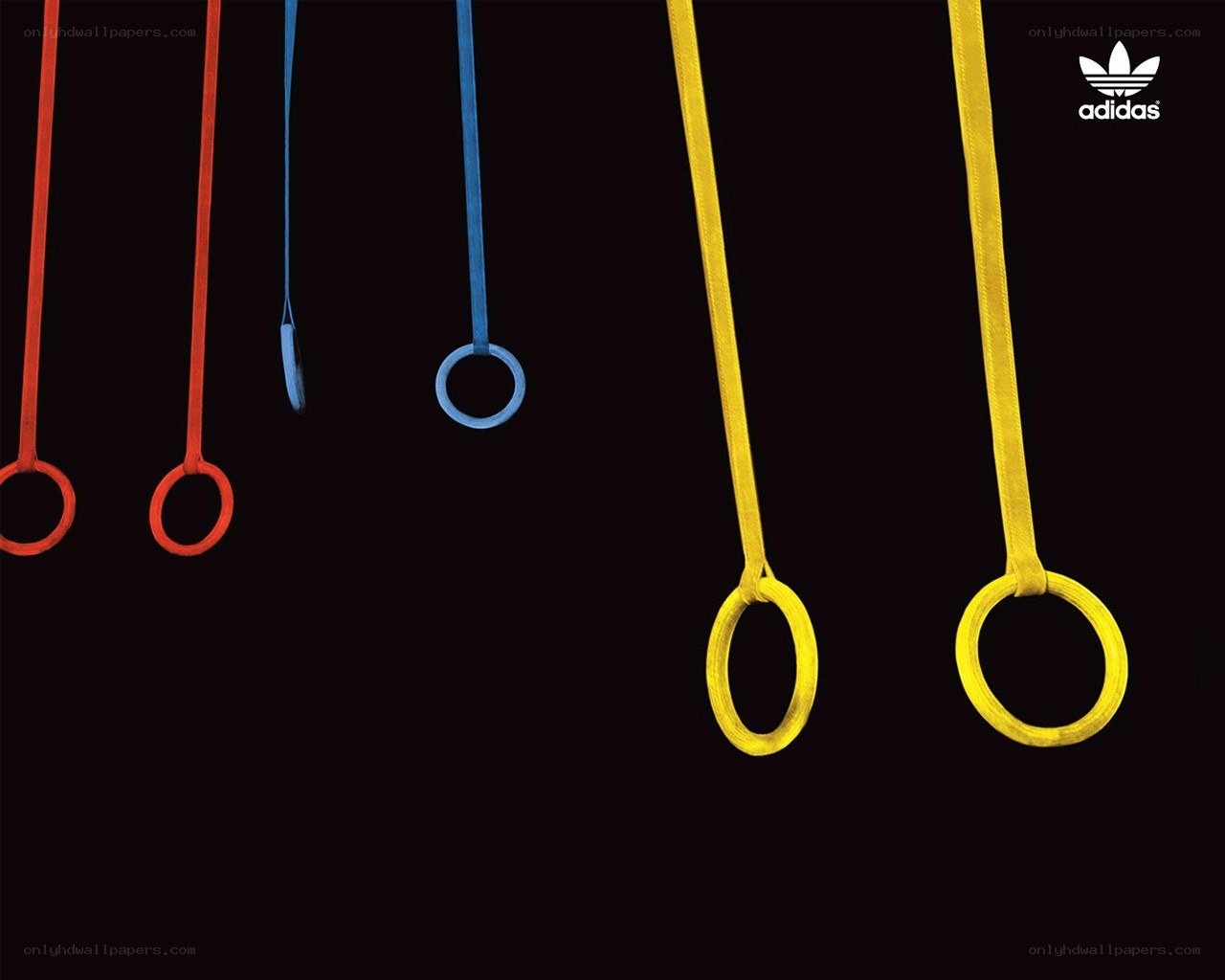 Colorful gymnastics rings