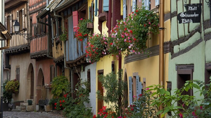 Colorful Half-timbered Houses — Yellow
