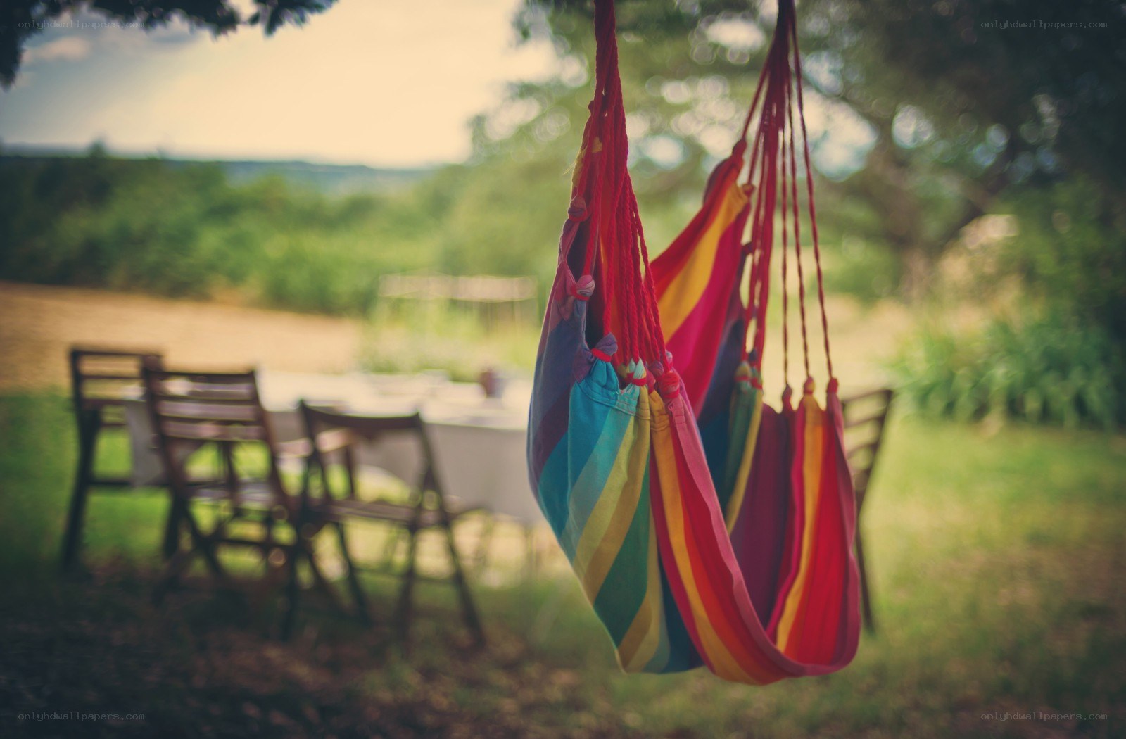Colorful hammocks in garden
