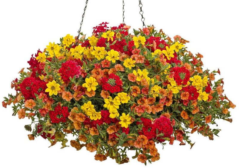 Colorful Hanging Flower Basket — Red