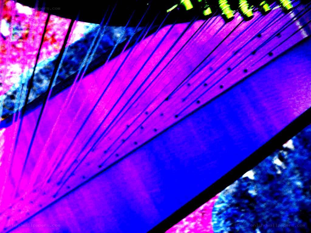 Colorful harp strings close-up