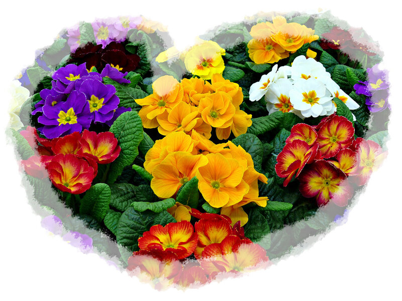 colorful heart-shaped flower arrangement
