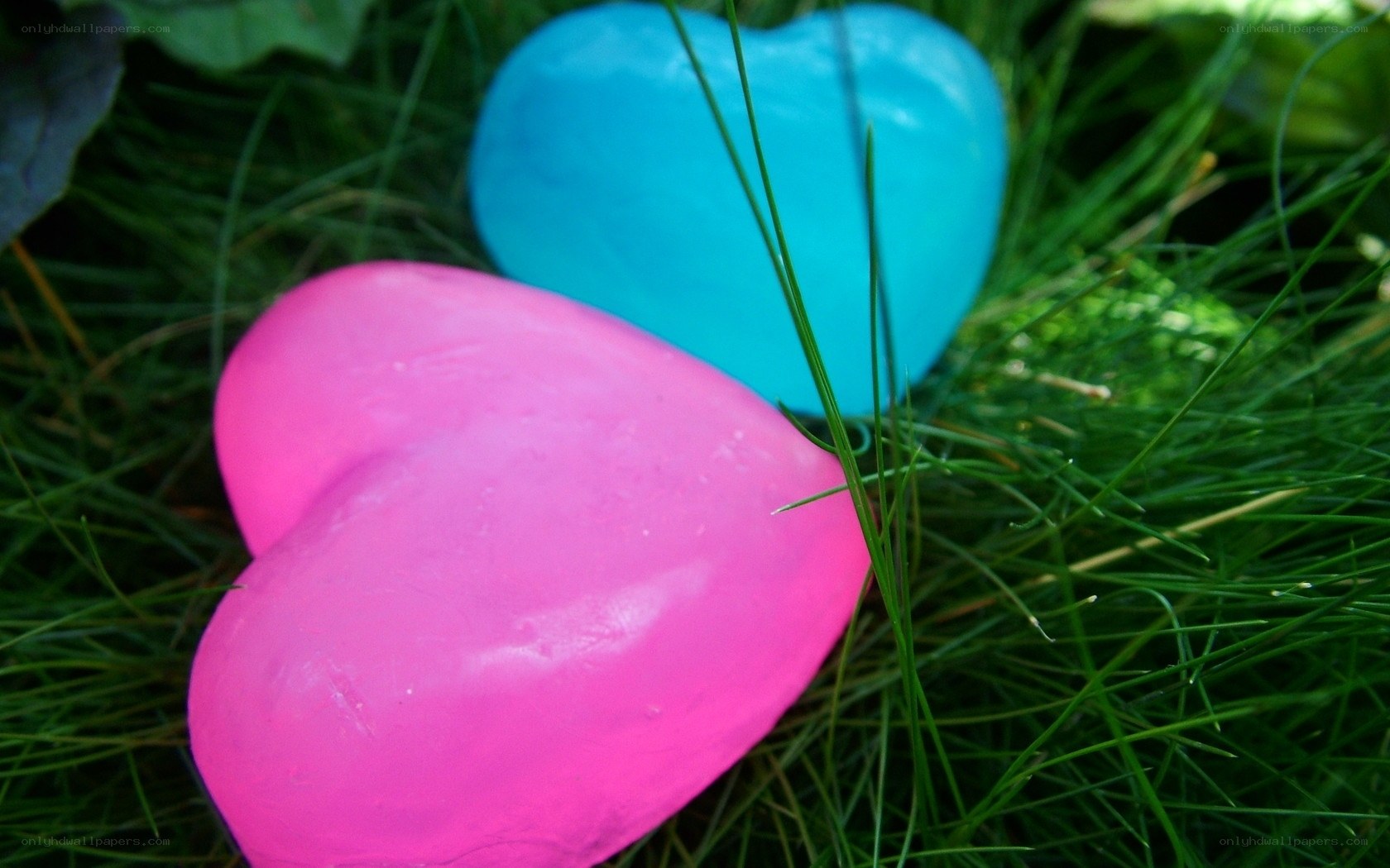 colorful hearts in grass