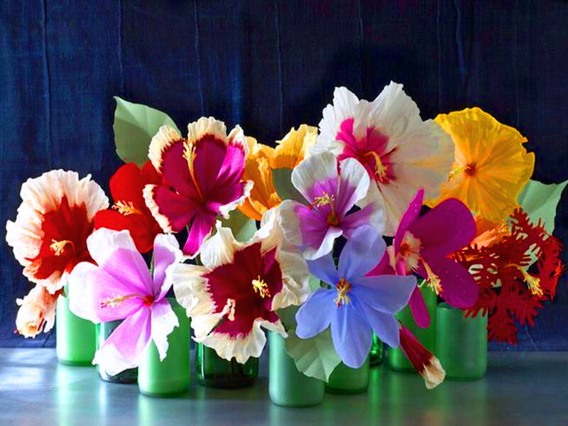 Colorful Hibiscus Flowers — Blue