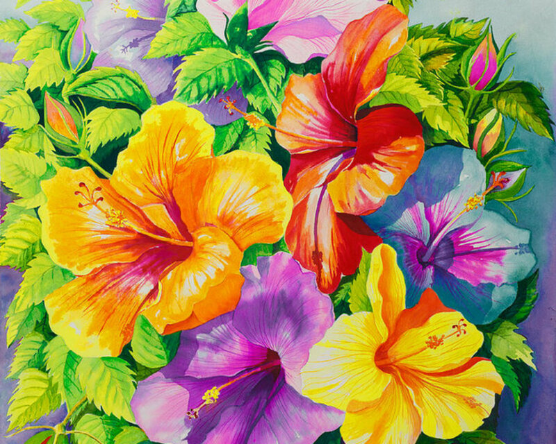 Colorful Hibiscus Flowers — Yellow