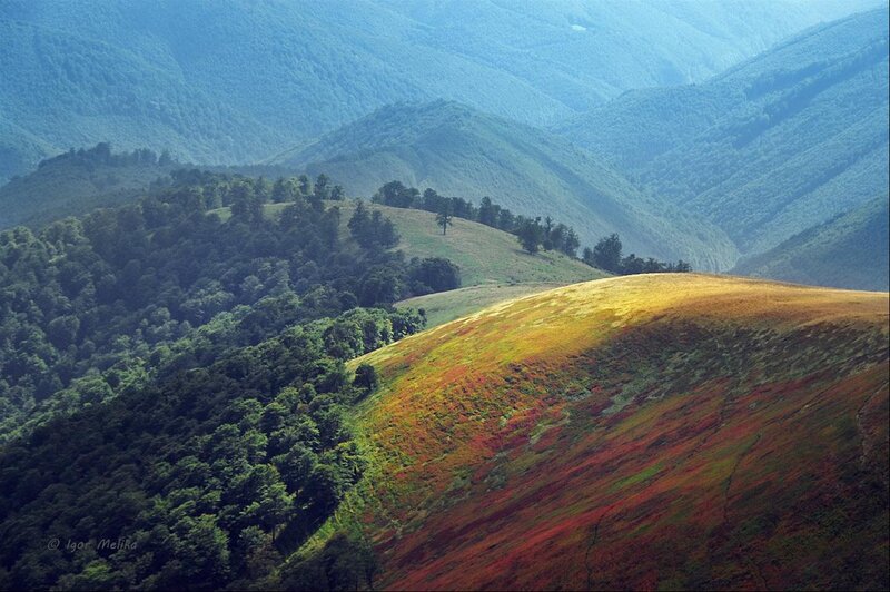 Colorful Hillside Landscape