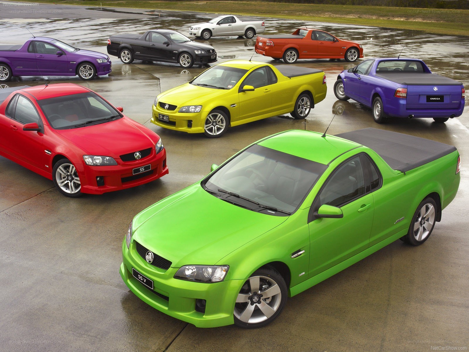 Colorful Holden utility vehicles