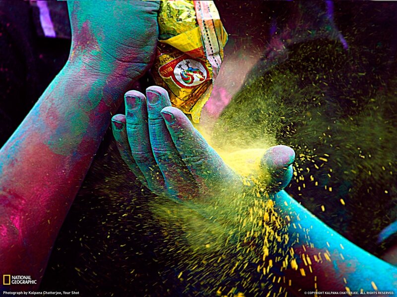 Colorful Holi Festival Celebration