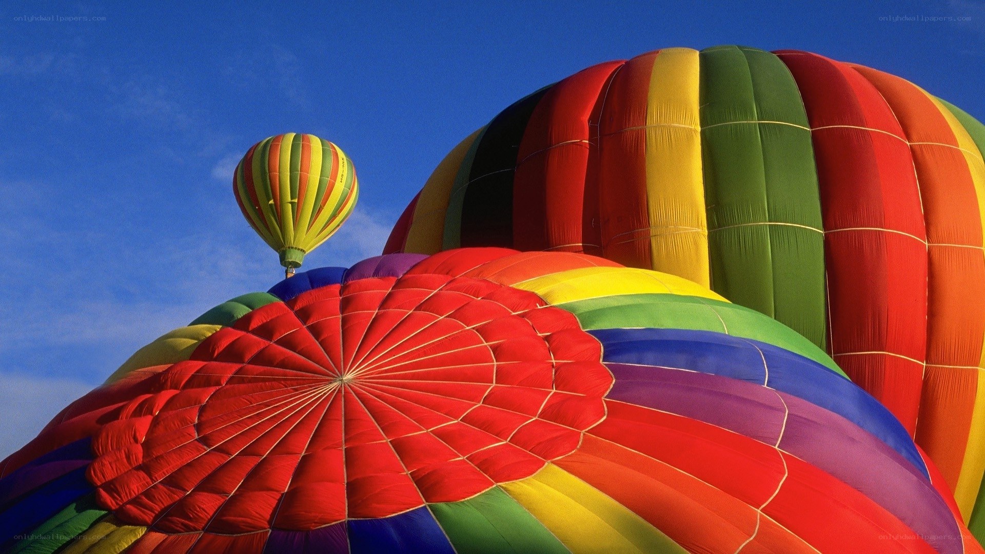 Colorful hot air balloons
