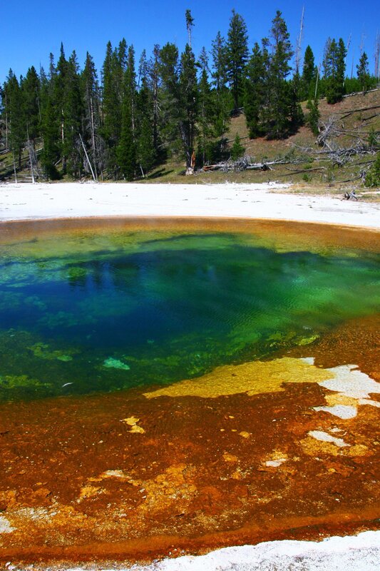 Colorful hot spring in forest