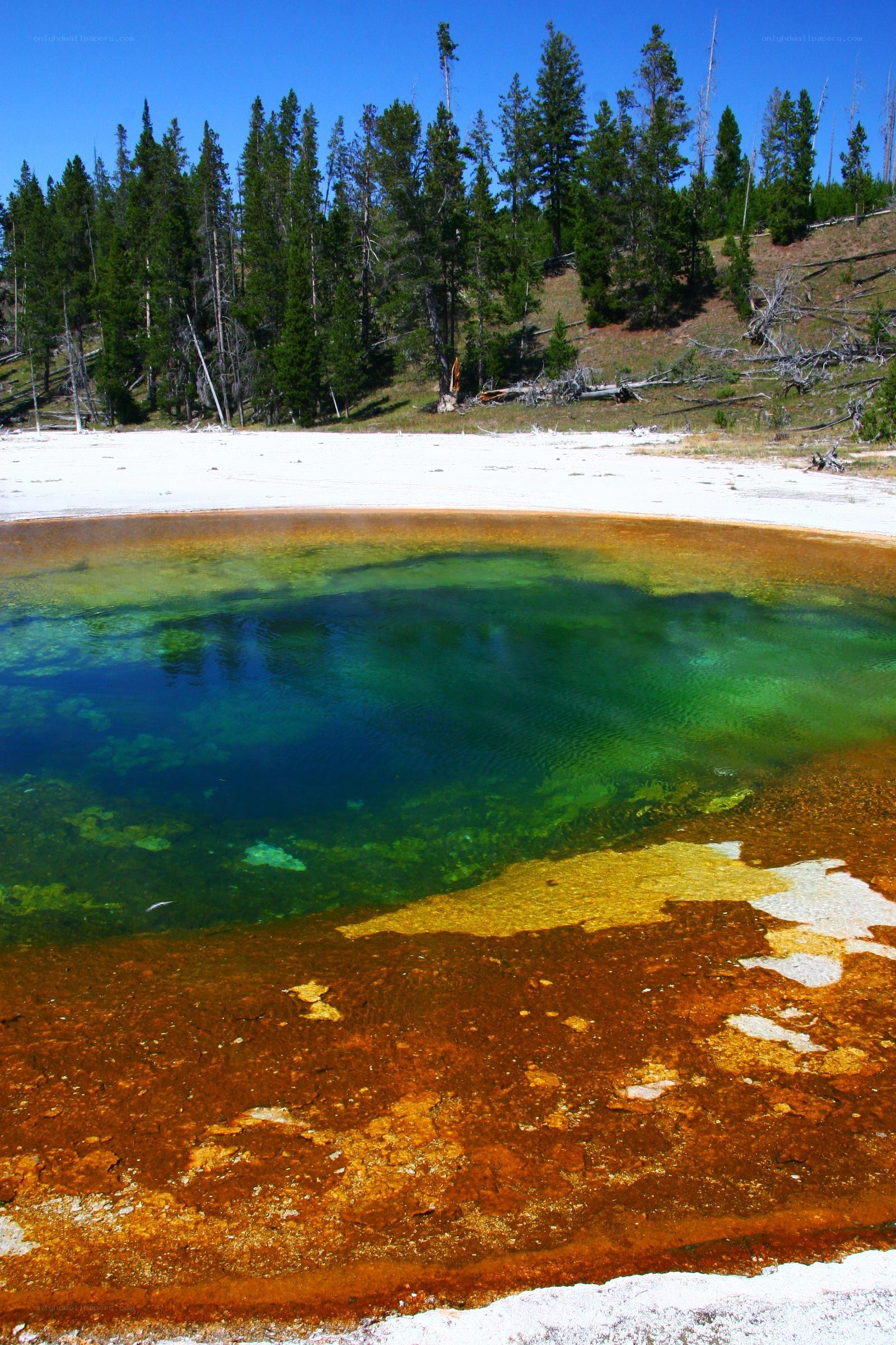 Colorful hot spring in forest