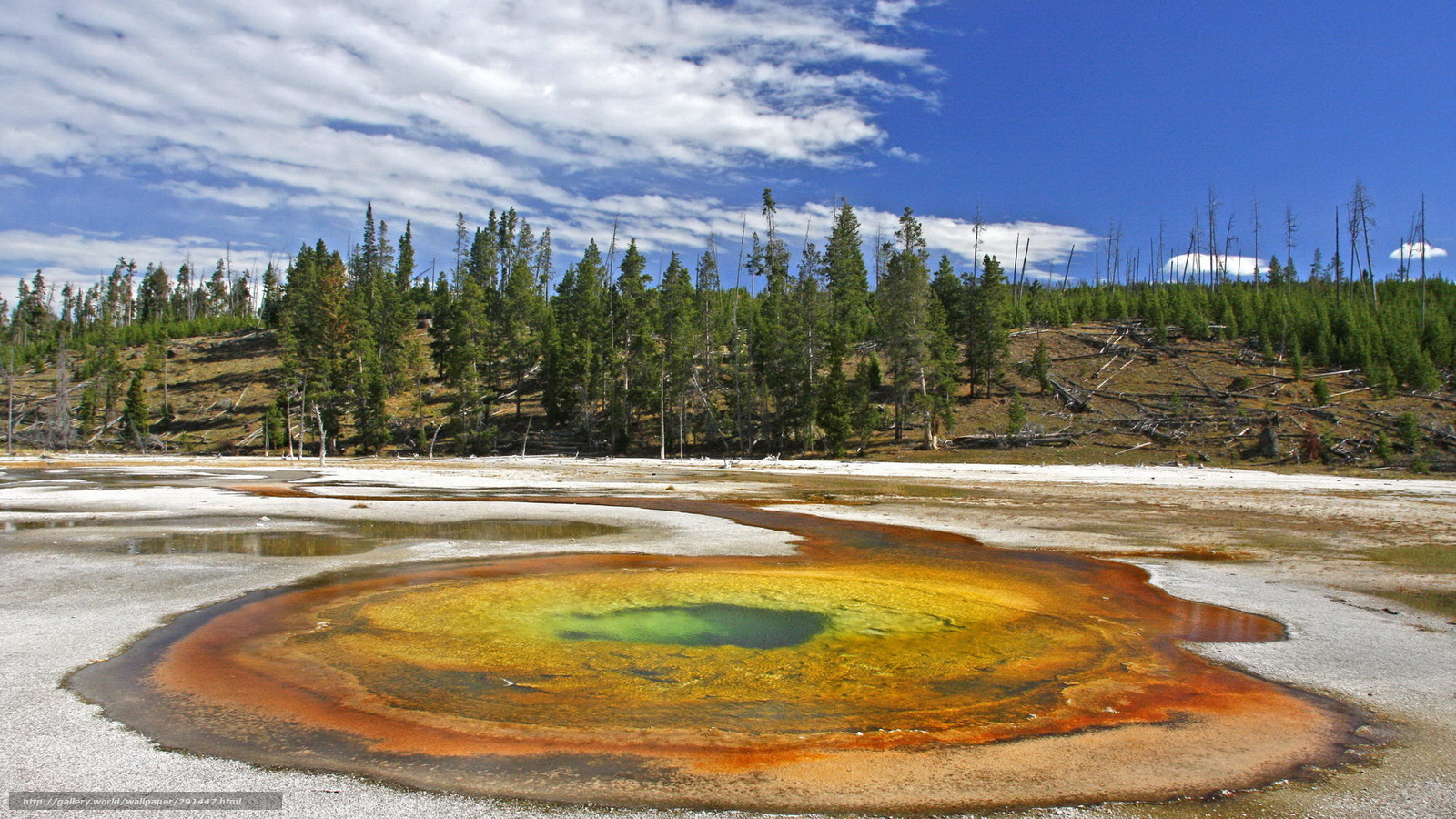 Colorful hot spring in forest
