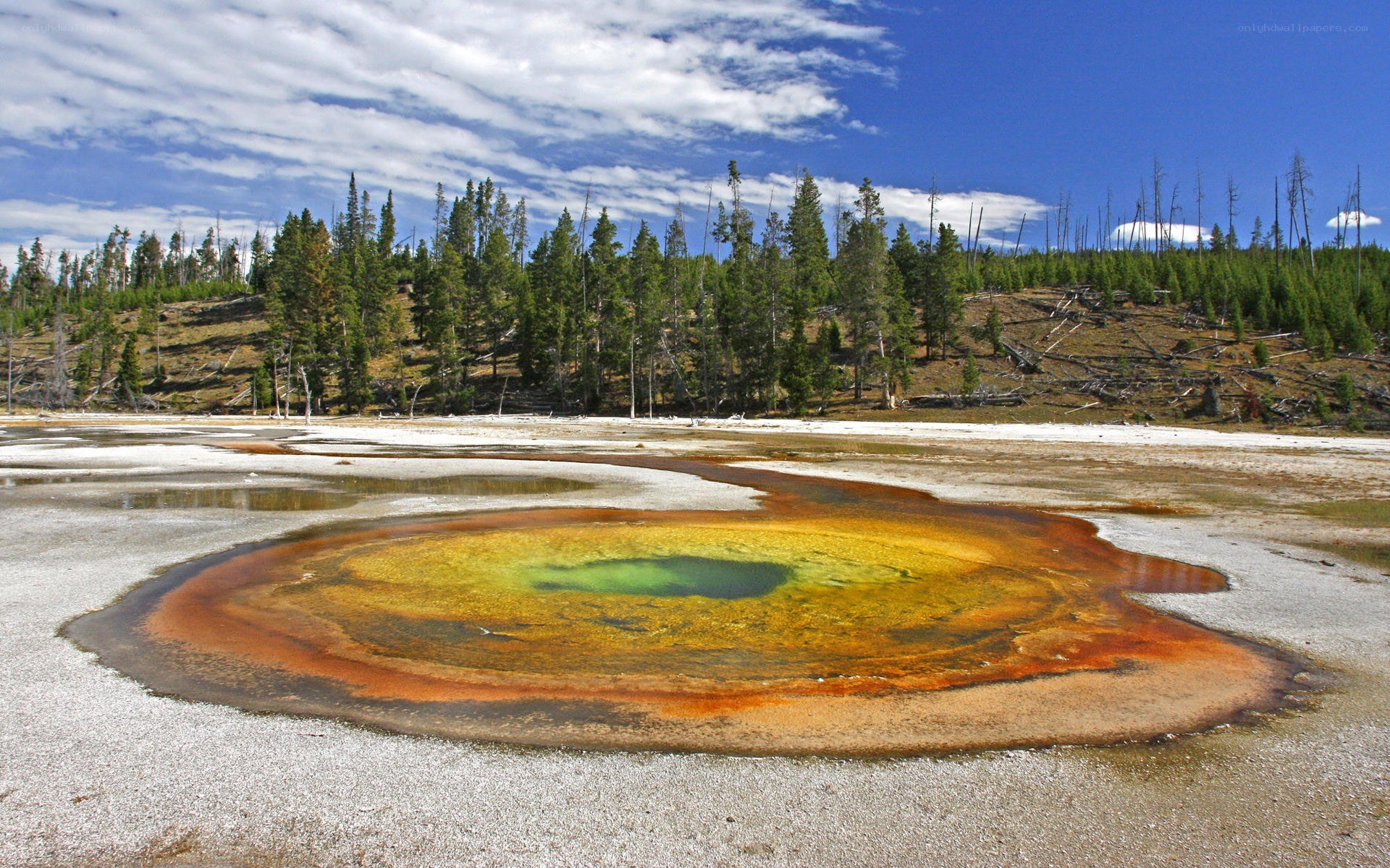 Colorful hot spring in Yellowstone