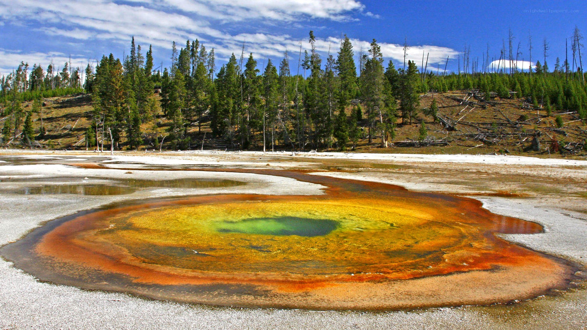 Colorful hot spring in Yellowstone