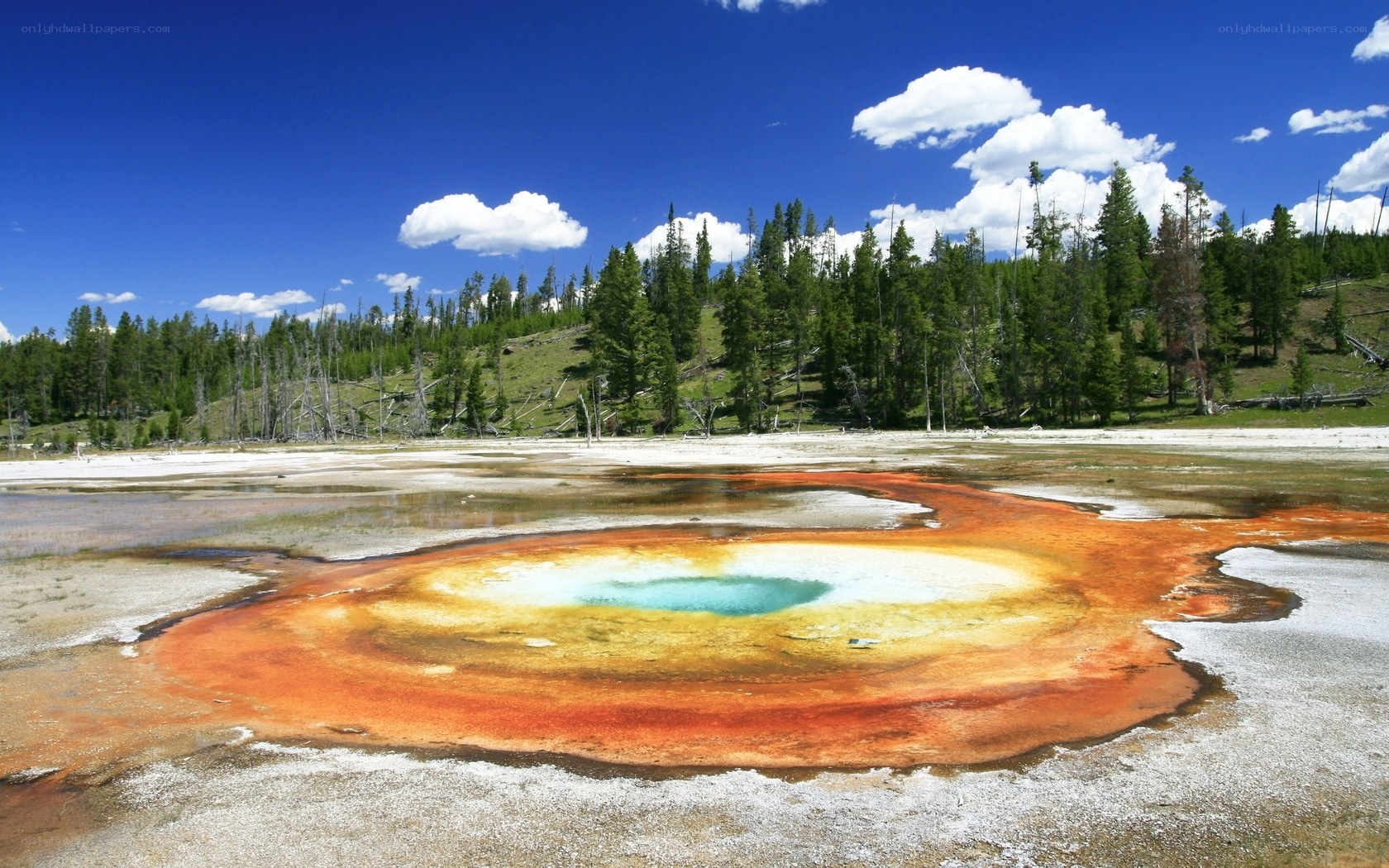 Colorful hot spring in Yellowstone